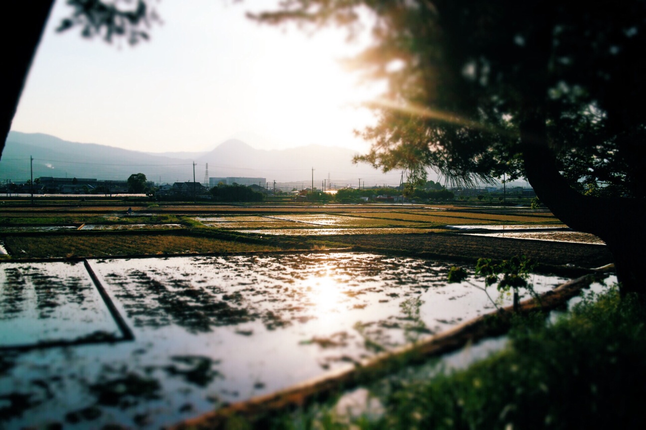 f:id:si_ku:20140511204455j:plain f:id:si_ku:20140511204455j:plain