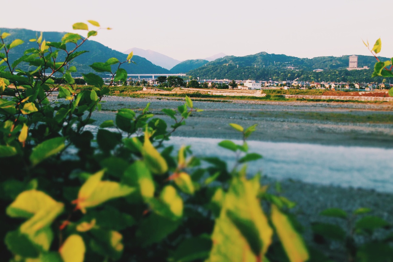 f:id:si_ku:20140511204511j:plain f:id:si_ku:20140511204511j:plain