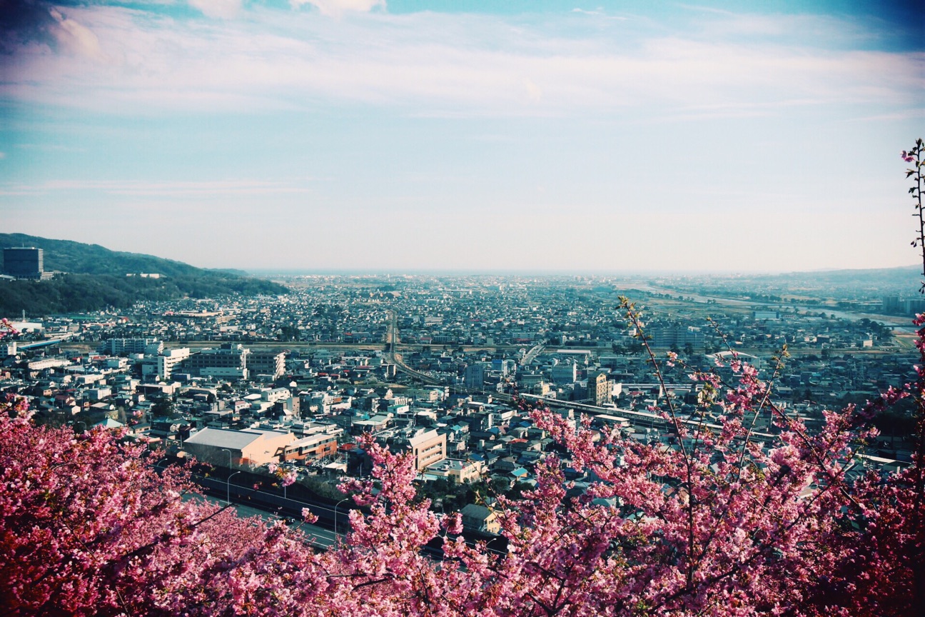 f:id:si_ku:20150304233013j:plain f:id:si_ku:20150304233013j:plain