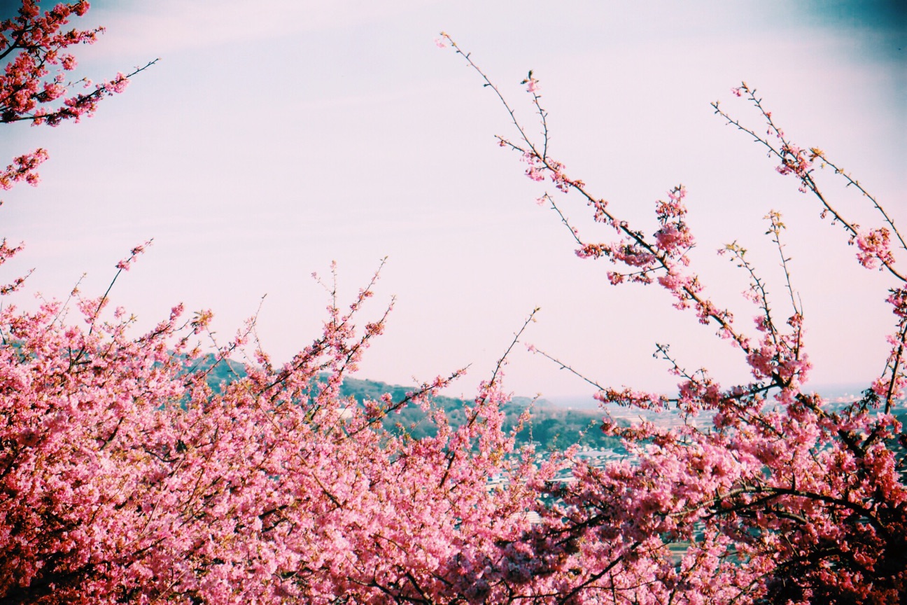 f:id:si_ku:20150304233840j:plain f:id:si_ku:20150304233840j:plain