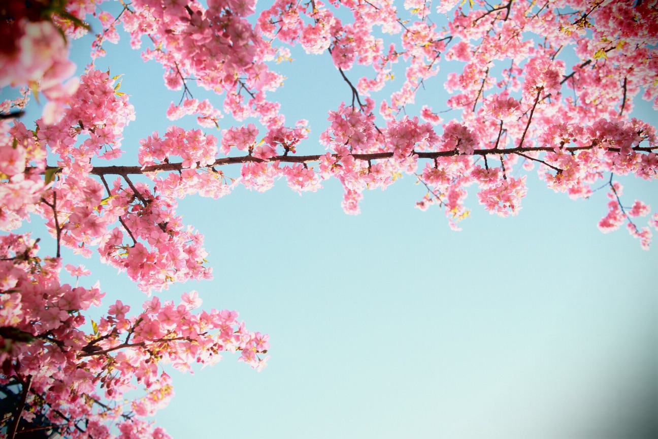 f:id:si_ku:20150304234223j:plain f:id:si_ku:20150304234223j:plain