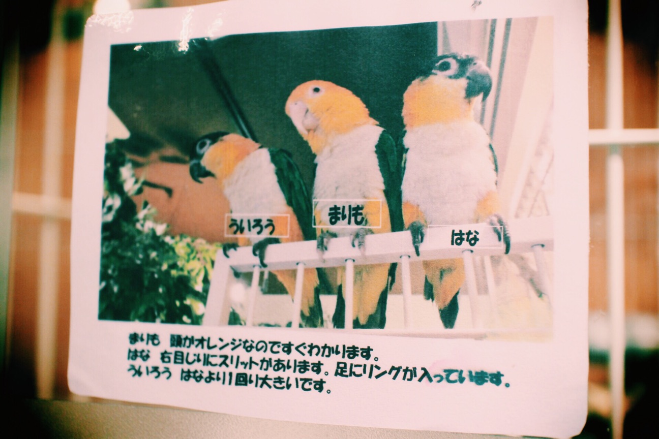 f:id:si_ku:20150308185123j:plain f:id:si_ku:20150308185123j:plain