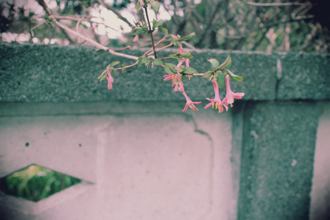 f:id:si_ku:20150319013021j:plain f:id:si_ku:20150319013021j:plain