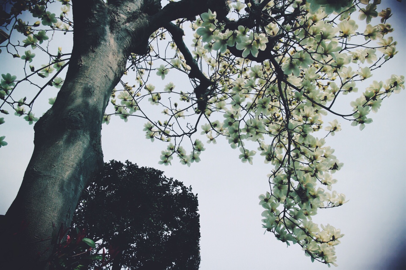 f:id:si_ku:20150319013337j:plain f:id:si_ku:20150319013337j:plain
