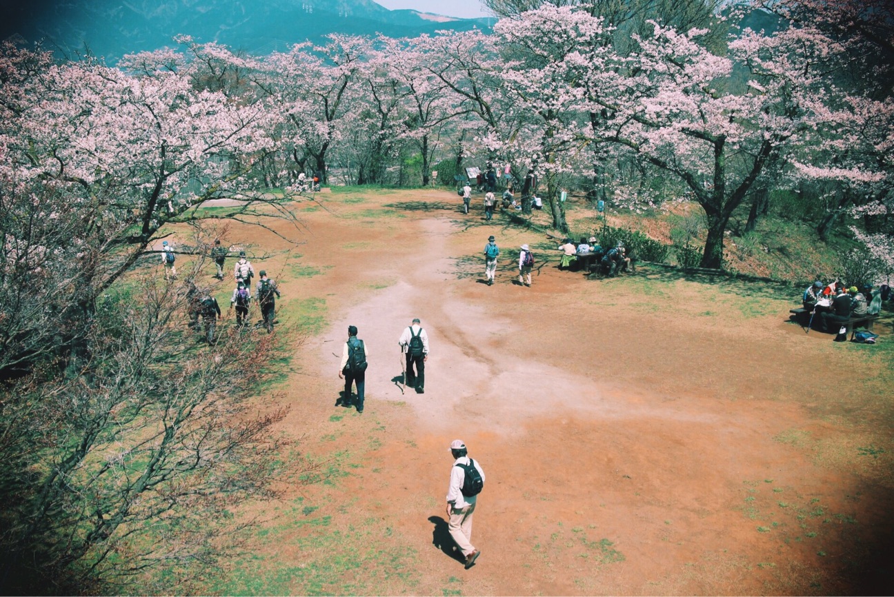f:id:si_ku:20150401000222j:plain f:id:si_ku:20150401000222j:plain