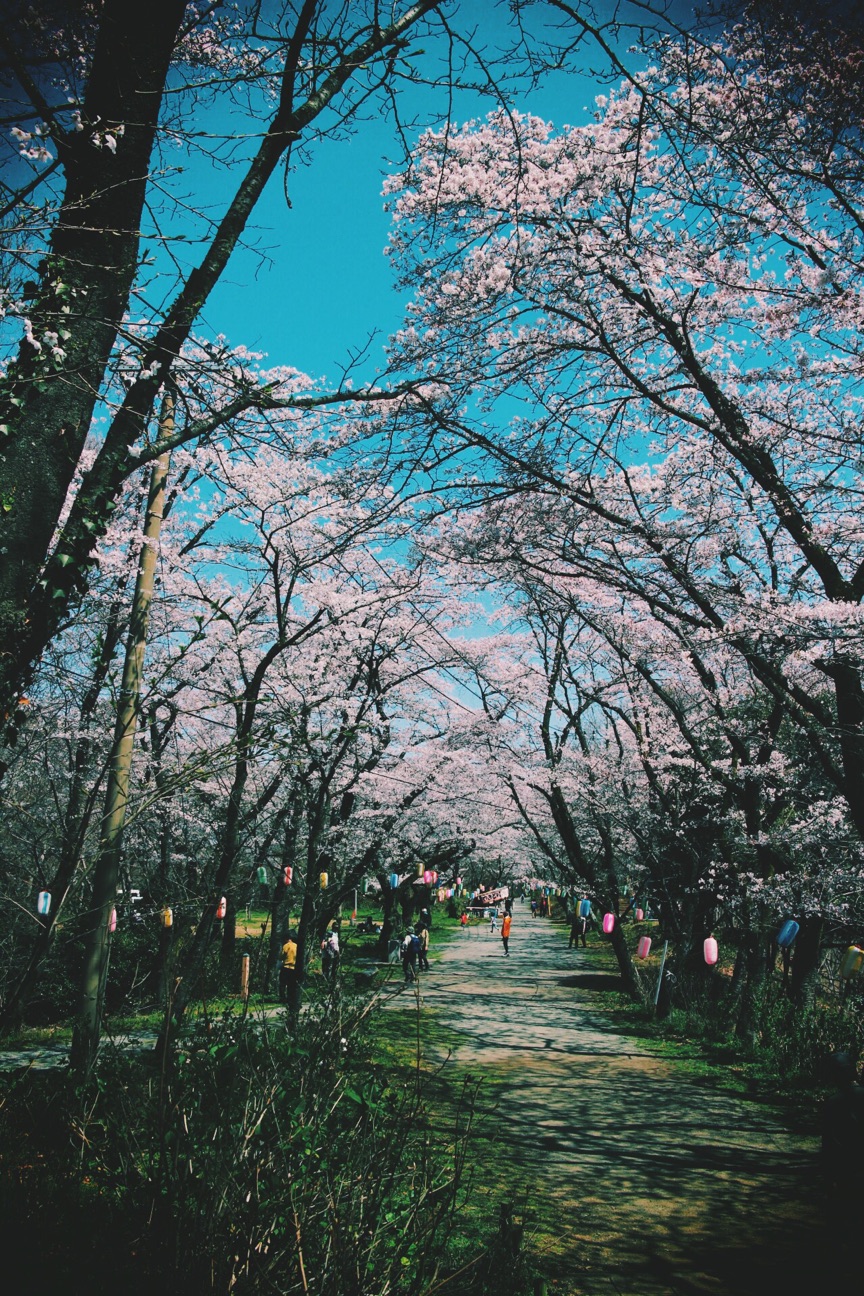 f:id:si_ku:20150401000343j:plain f:id:si_ku:20150401000343j:plain