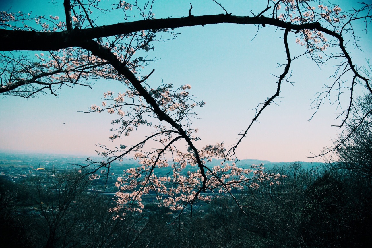 f:id:si_ku:20150401000400j:plain f:id:si_ku:20150401000400j:plain