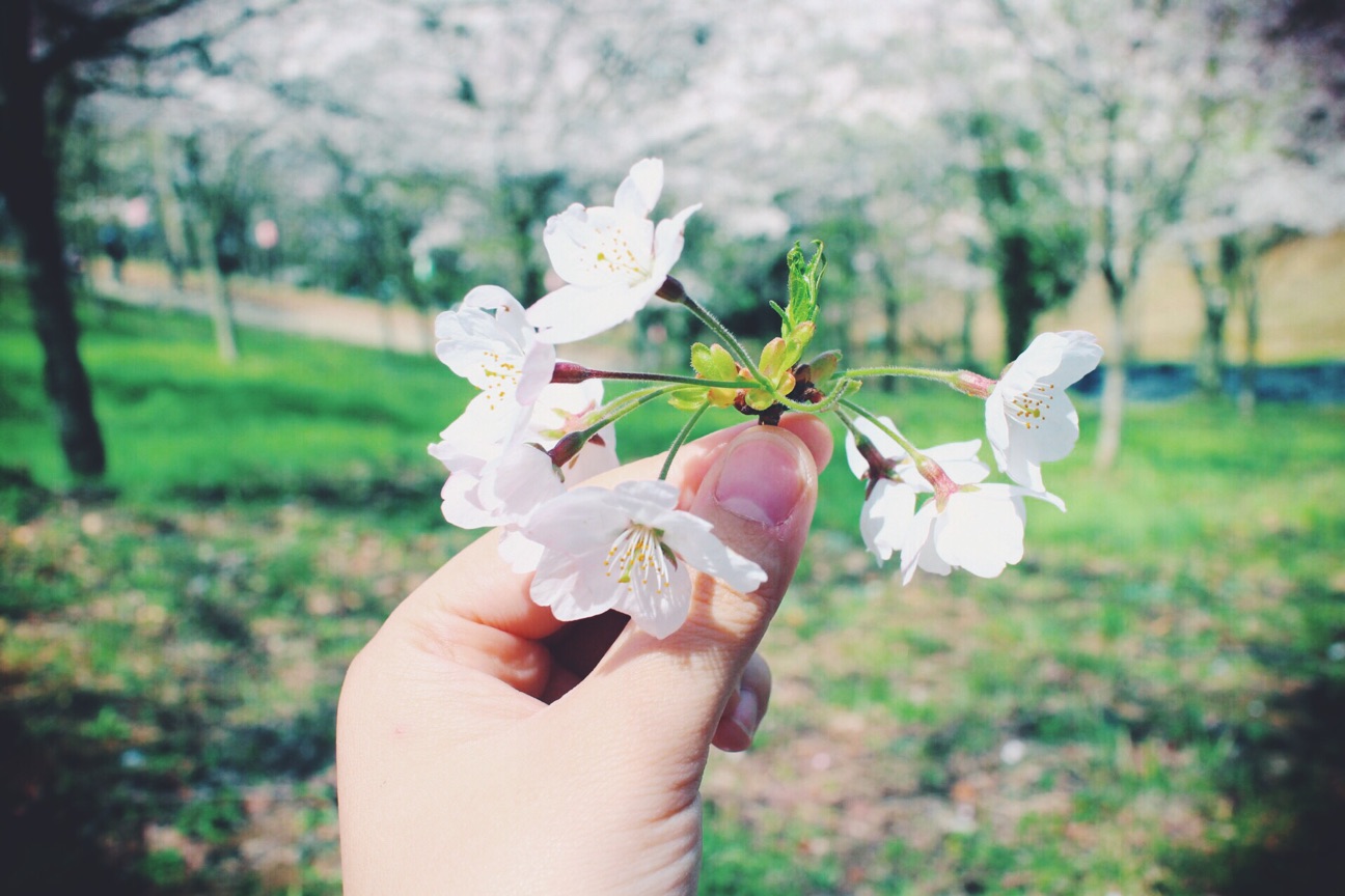 f:id:si_ku:20150401001109j:plain f:id:si_ku:20150401001109j:plain