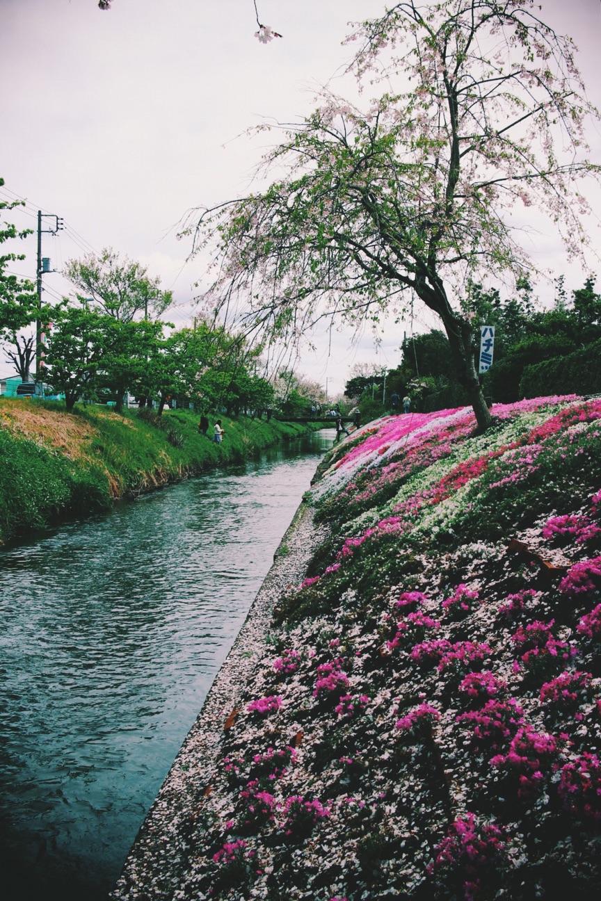 f:id:si_ku:20150412015655j:plain f:id:si_ku:20150412015655j:plain
