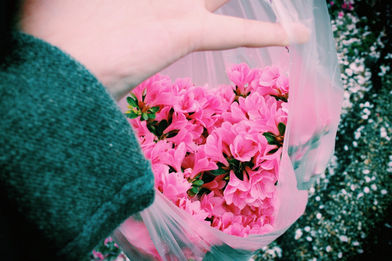 f:id:si_ku:20150412015824j:plain f:id:si_ku:20150412015824j:plain