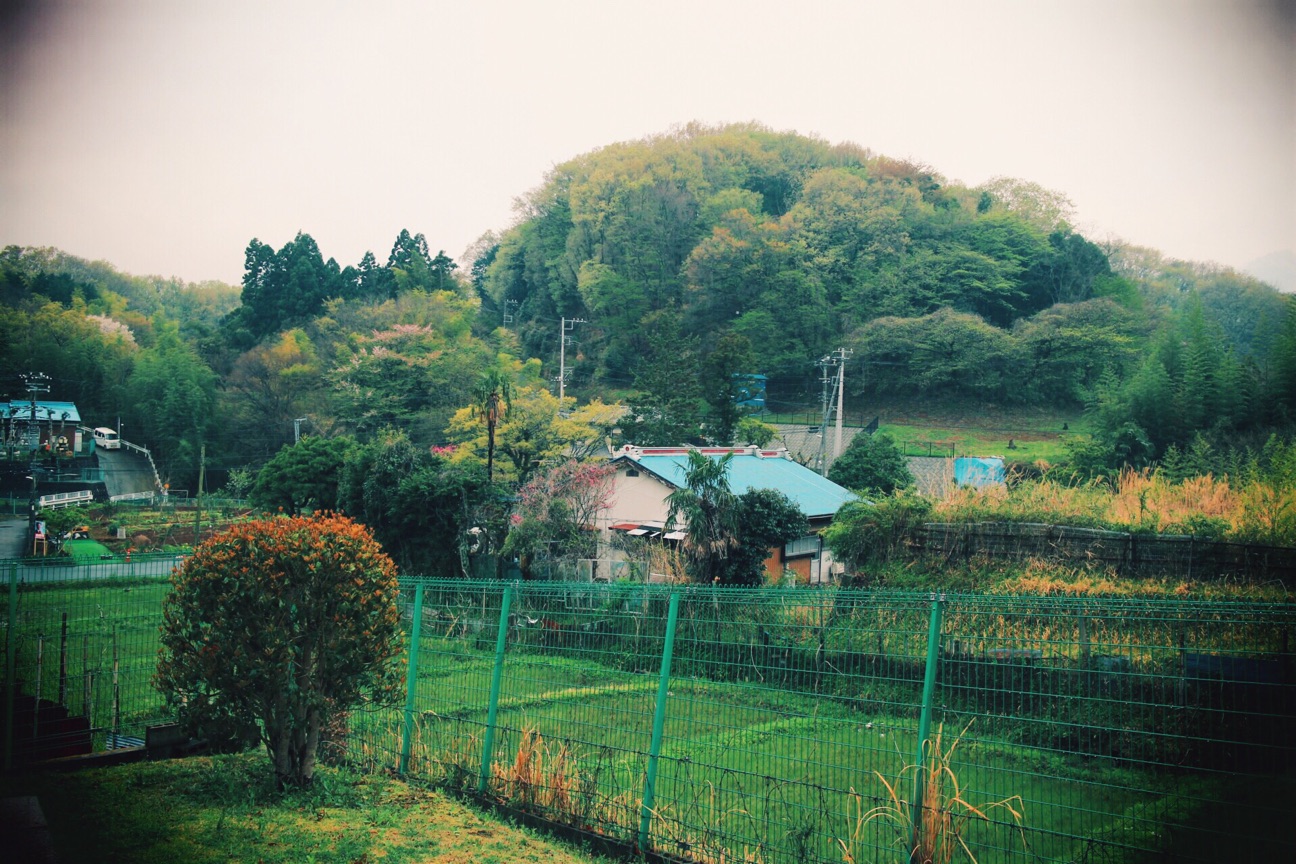 f:id:si_ku:20150415000233j:plain f:id:si_ku:20150415000233j:plain