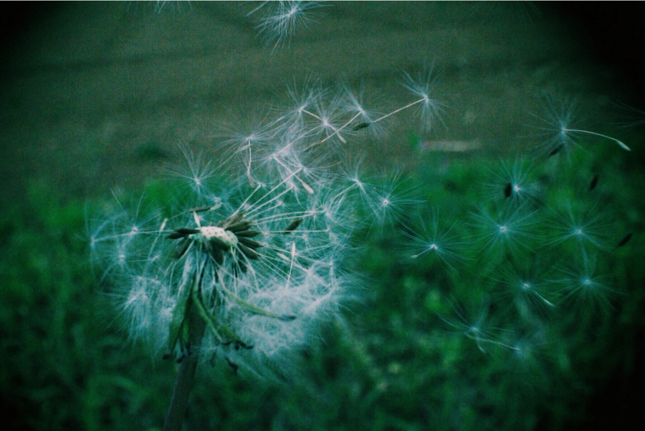 f:id:si_ku:20150424013100j:image f:id:si_ku:20150424013100j:image