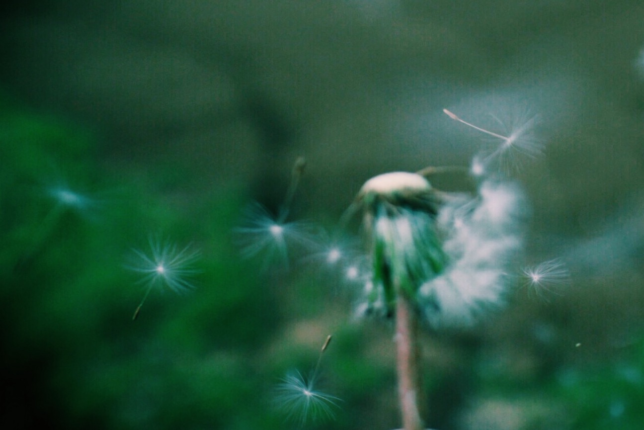 f:id:si_ku:20150424013211j:image f:id:si_ku:20150424013211j:image