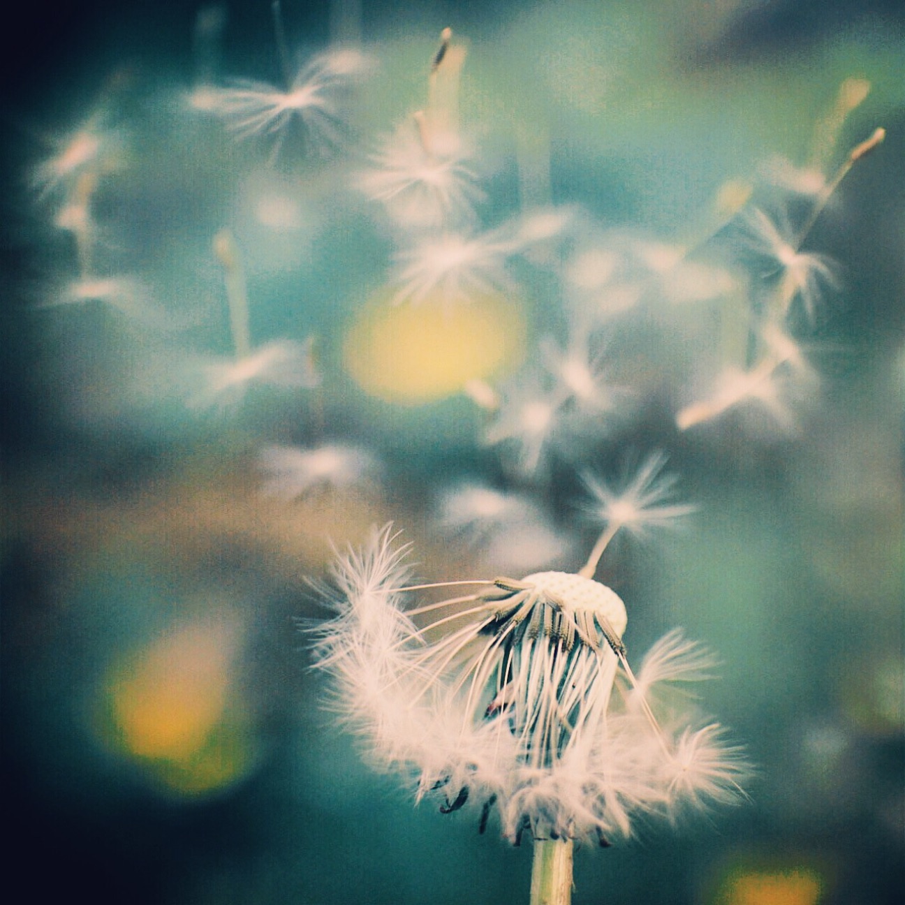 f:id:si_ku:20150424013239j:image f:id:si_ku:20150424013239j:image