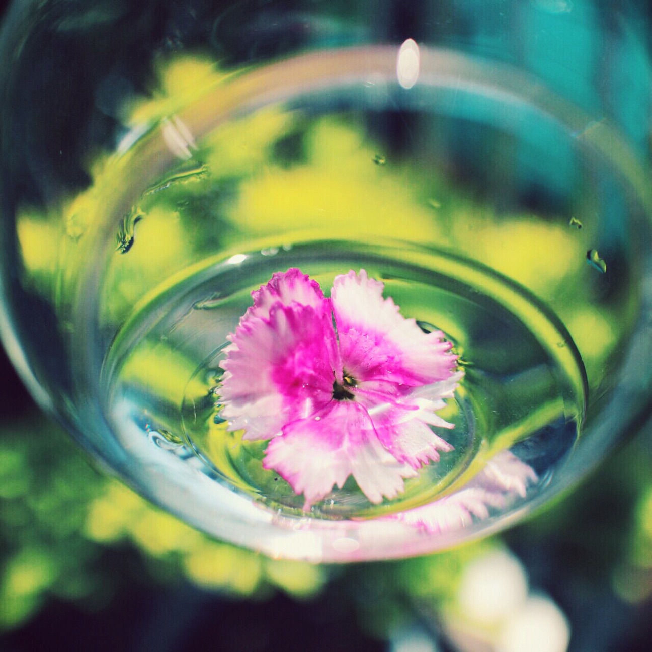 f:id:si_ku:20150427010222j:image f:id:si_ku:20150427010222j:image
