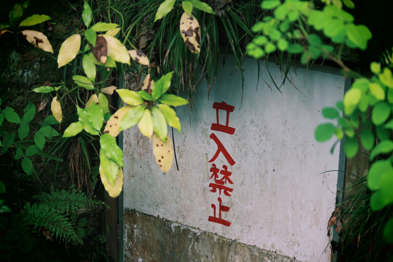 f:id:si_ku:20150504223302j:image f:id:si_ku:20150504223302j:image