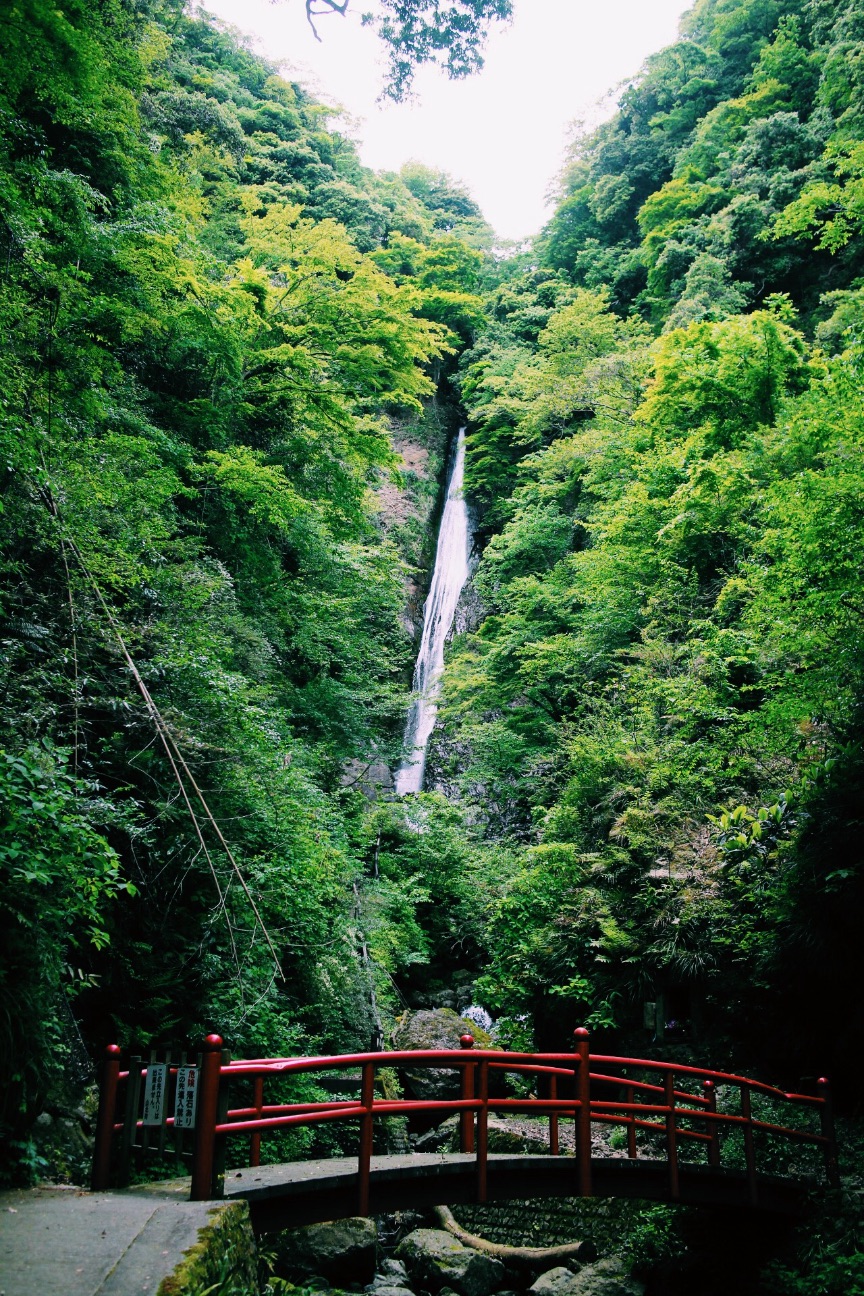 f:id:si_ku:20150504224459j:image f:id:si_ku:20150504224459j:image
