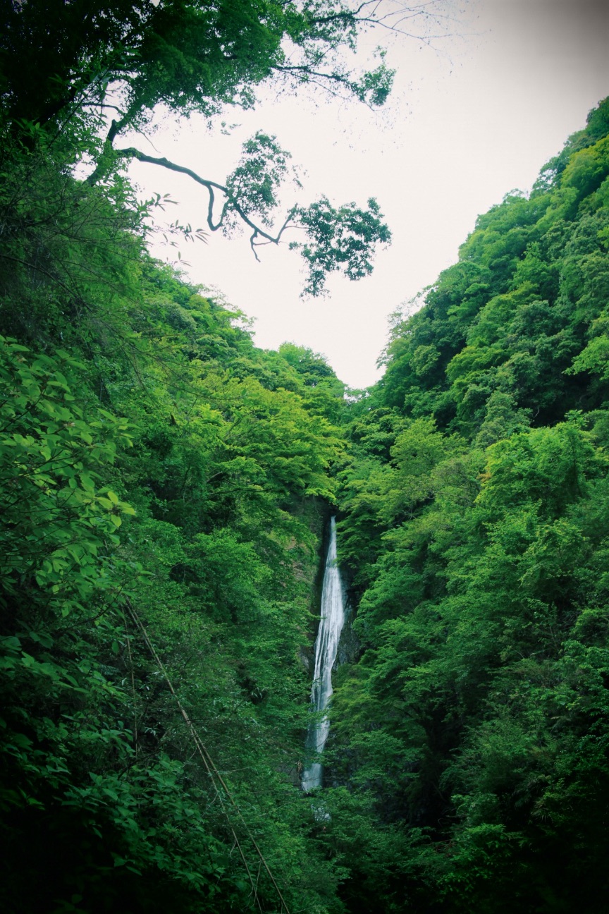 f:id:si_ku:20150504224750j:image f:id:si_ku:20150504224750j:image