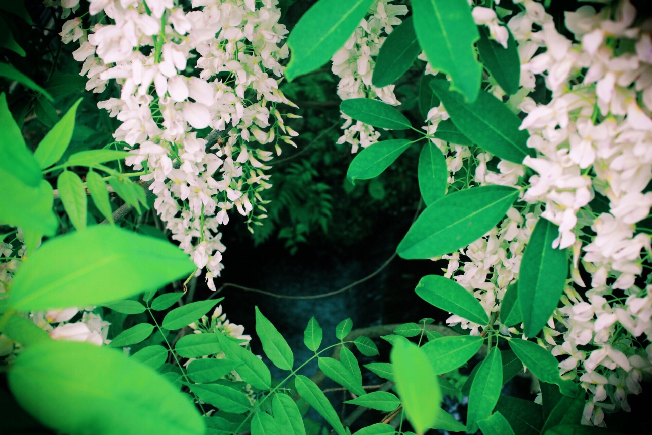 f:id:si_ku:20150504225056j:image f:id:si_ku:20150504225056j:image