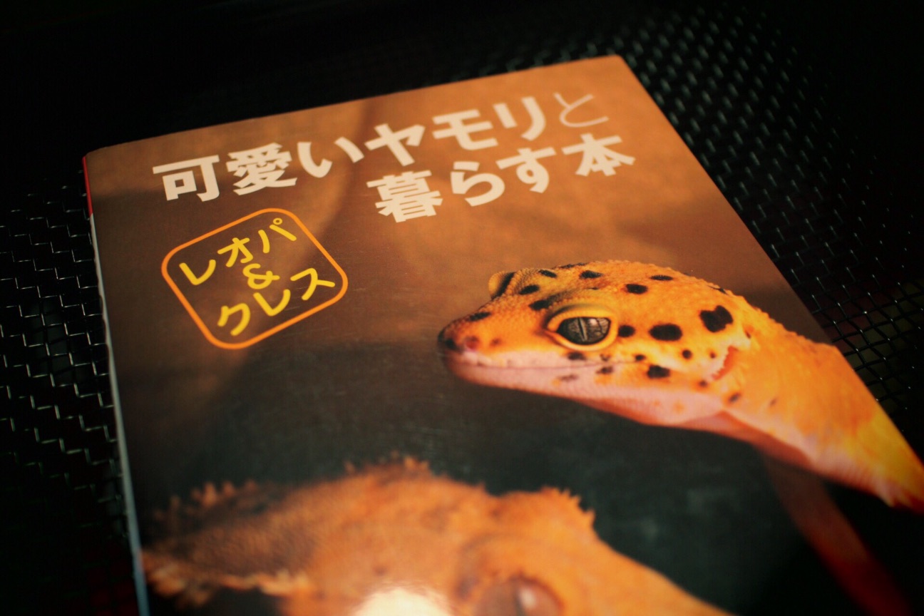 f:id:si_ku:20150509235850j:image f:id:si_ku:20150509235850j:image