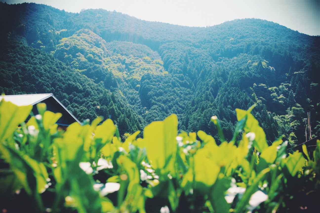 f:id:si_ku:20150510231625j:image f:id:si_ku:20150510231625j:image