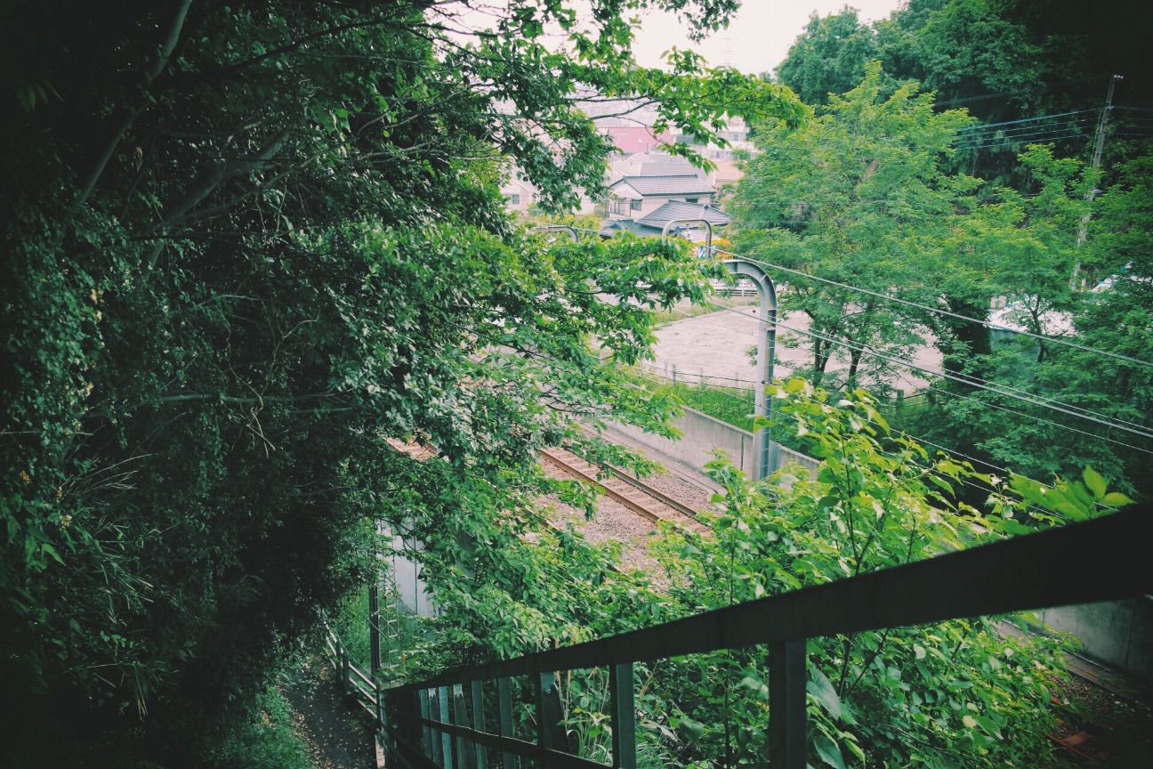 f:id:si_ku:20150520014156j:image f:id:si_ku:20150520014156j:image