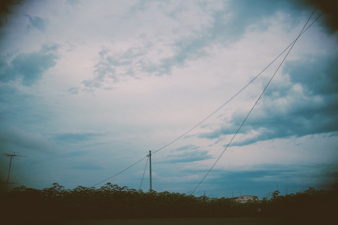 f:id:si_ku:20150520015004j:image f:id:si_ku:20150520015004j:image