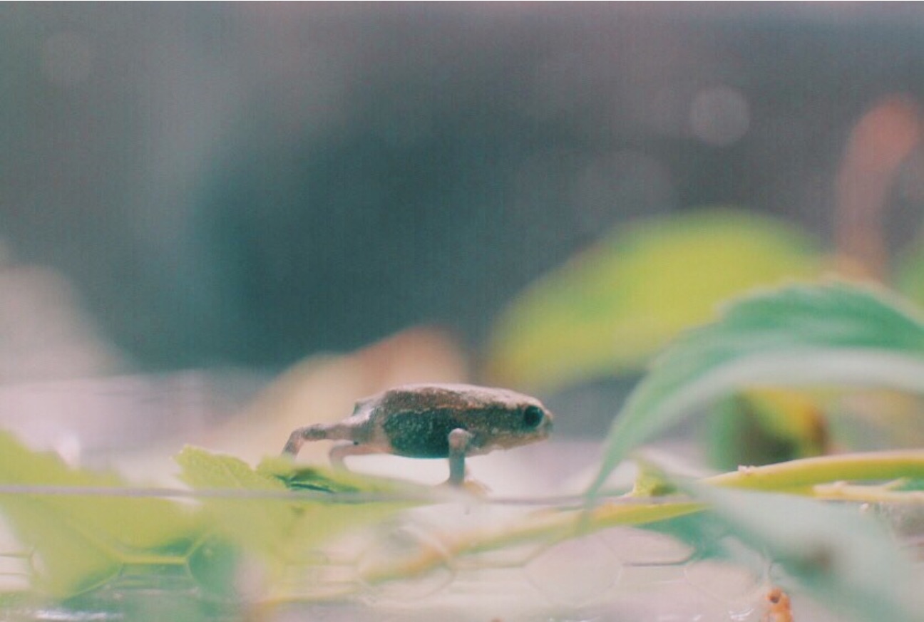 f:id:si_ku:20150524003918j:image f:id:si_ku:20150524003918j:image