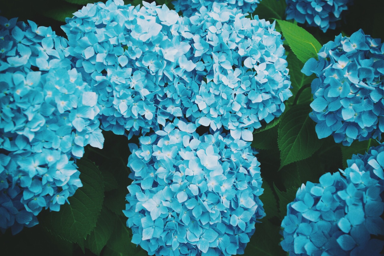 f:id:si_ku:20150602210153j:image f:id:si_ku:20150602210153j:image