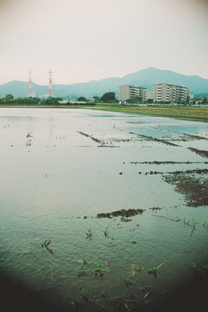 f:id:si_ku:20150602210334j:image f:id:si_ku:20150602210334j:image