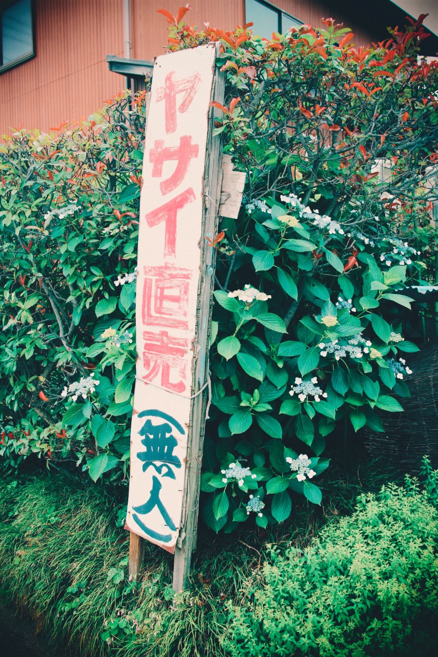 f:id:si_ku:20150602210607j:image f:id:si_ku:20150602210607j:image