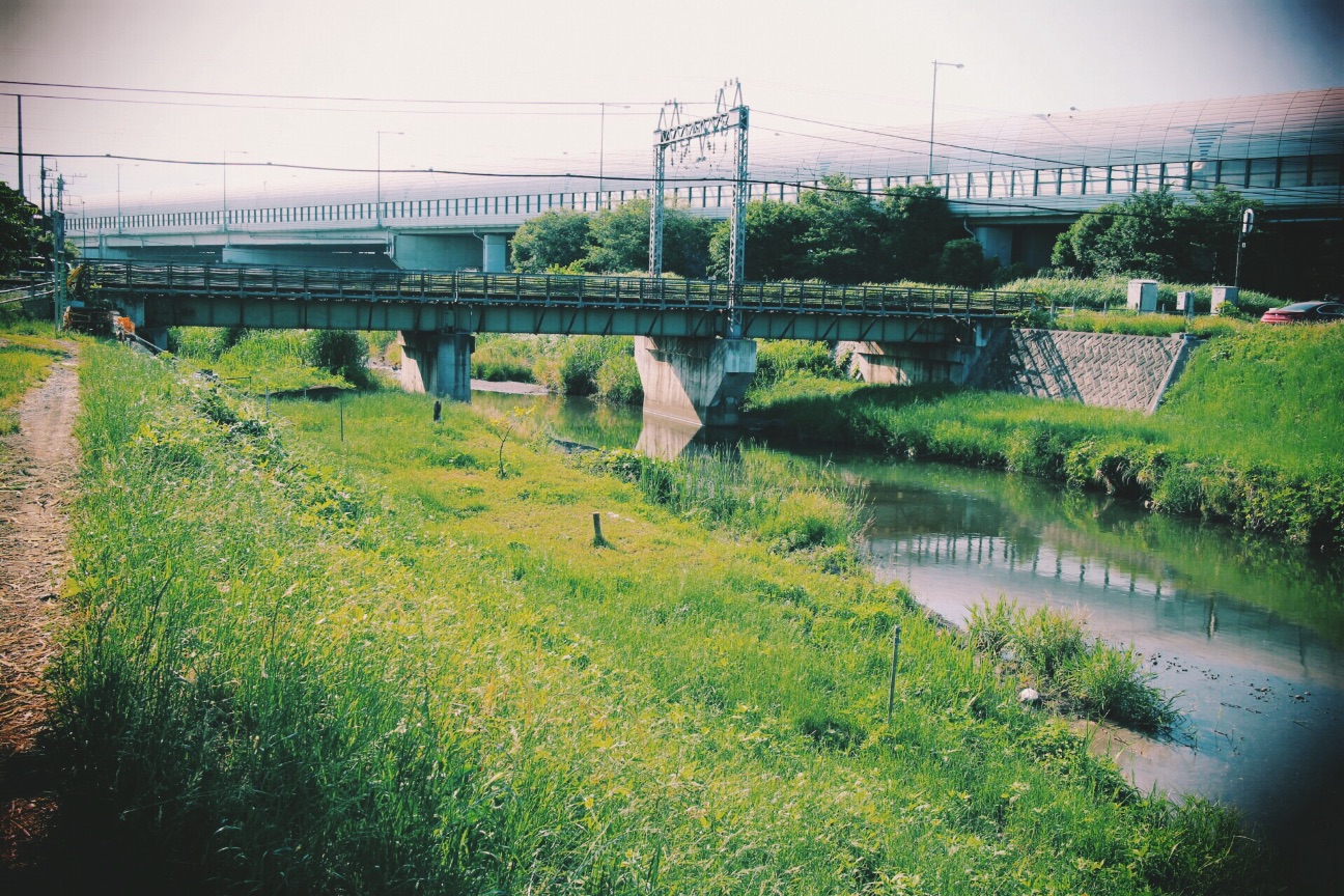 f:id:si_ku:20150605120602j:image f:id:si_ku:20150605120602j:image