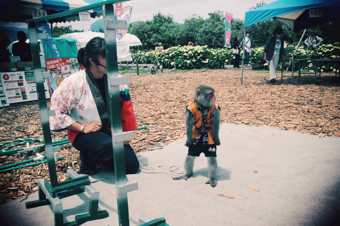 f:id:si_ku:20150608225940j:image f:id:si_ku:20150608225940j:image
