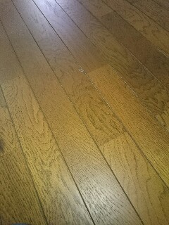 f:id:siawasenikurasu:20160513132305j:image f:id:siawasenikurasu:20160513132305j:image