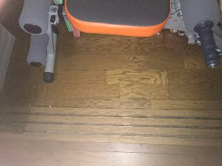 f:id:siawasenikurasu:20160526084142j:image f:id:siawasenikurasu:20160526084142j:image