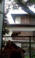 f:id:sibafu:20110416095259j:image f:id:sibafu:20110416095259j:image