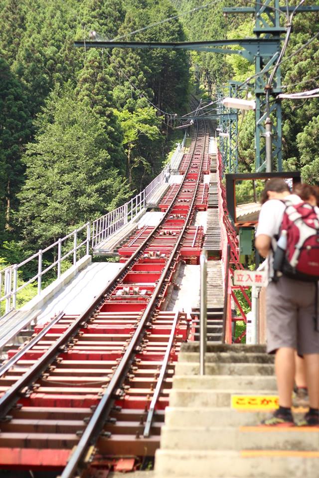 f:id:sibafu:20160611135537j:plain f:id:sibafu:20160611135537j:plain