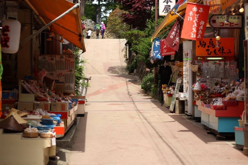 f:id:sibafu:20160611135625j:plain f:id:sibafu:20160611135625j:plain