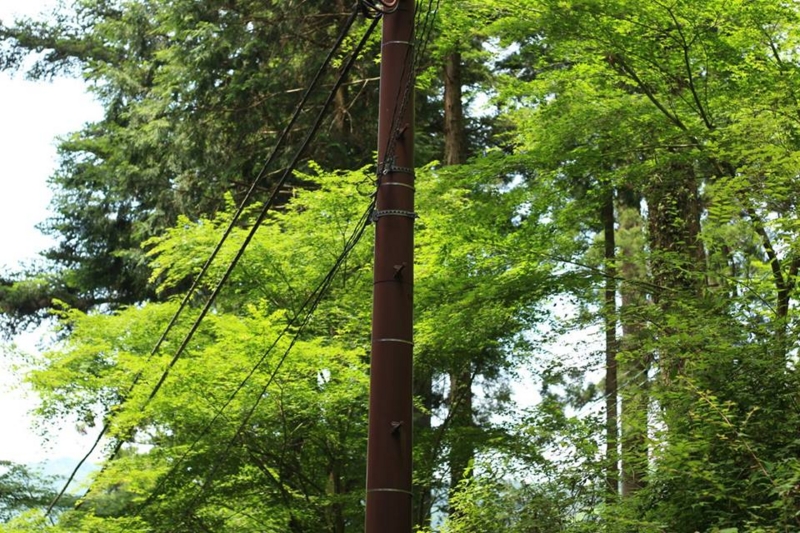 f:id:sibafu:20160611135633j:plain f:id:sibafu:20160611135633j:plain