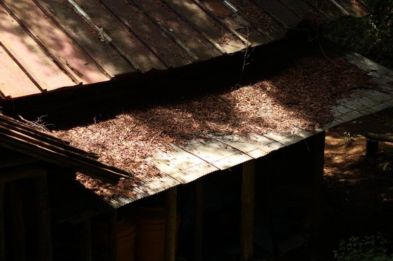 f:id:sibafu:20160611135638j:plain f:id:sibafu:20160611135638j:plain