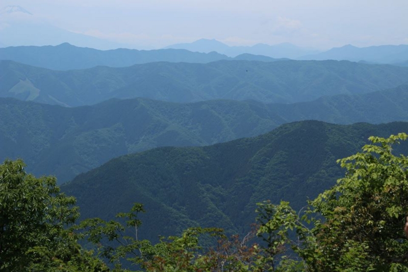 f:id:sibafu:20160611135640j:plain f:id:sibafu:20160611135640j:plain