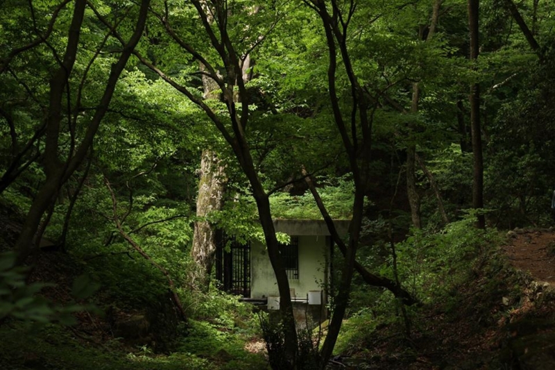 f:id:sibafu:20160611135641j:plain f:id:sibafu:20160611135641j:plain