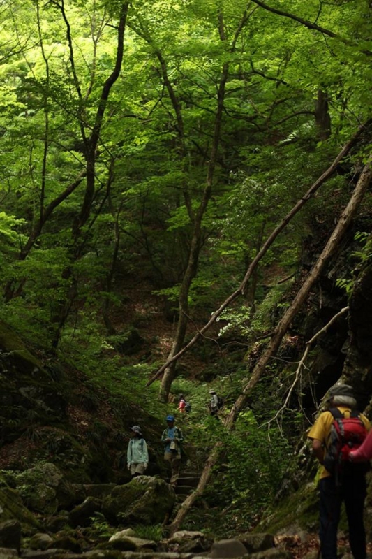 f:id:sibafu:20160611135644j:plain f:id:sibafu:20160611135644j:plain