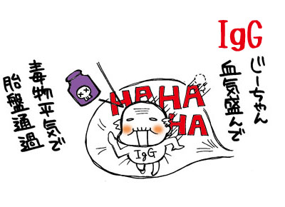 ＩｇＧの覚え方