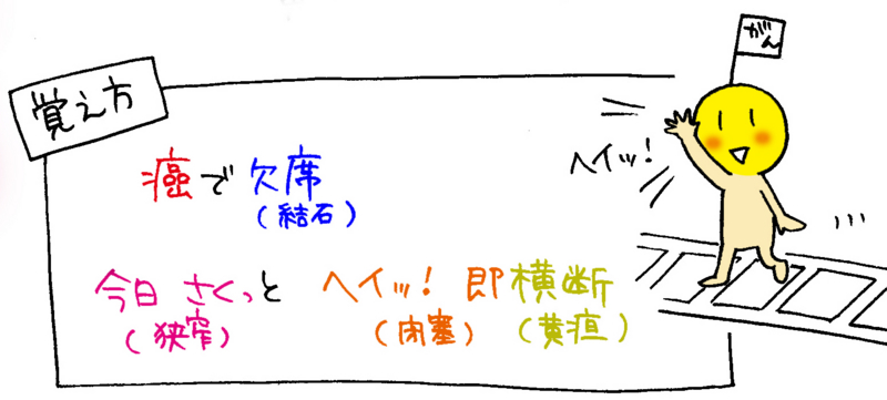 胆道の解剖「閉塞性黄疸」の覚え方イラスト