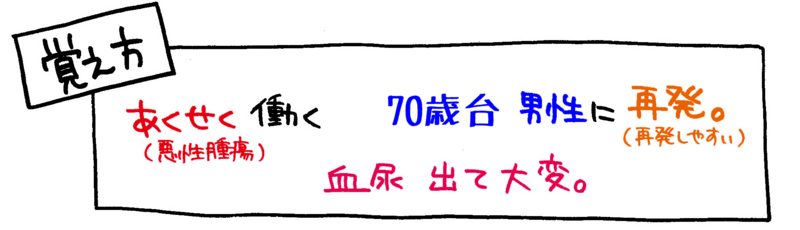 膀胱腫瘍（膀胱癌）の特徴の覚え方解説イラスト