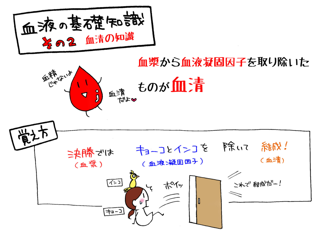 血清の成分解説イラスト