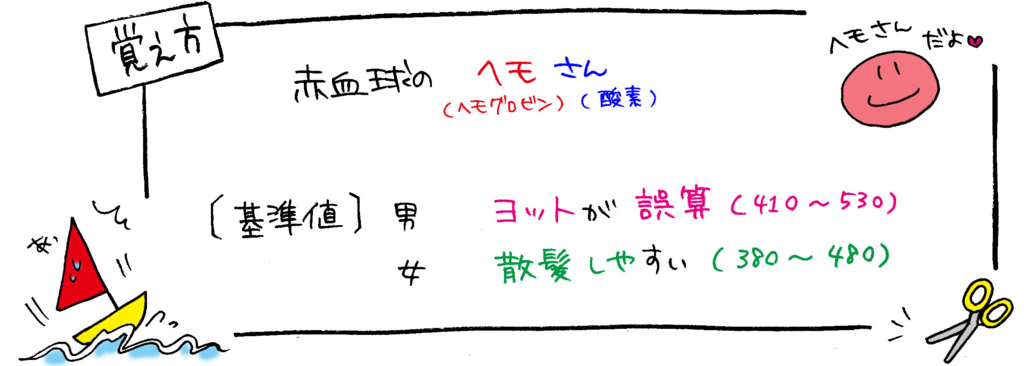 赤血球の働きと基礎知識の覚え方イラスト