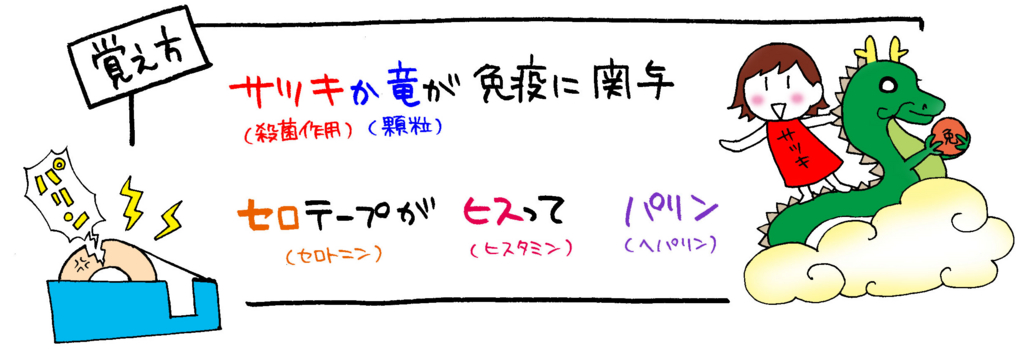 好塩基球の働きと特徴の覚え方イラスト