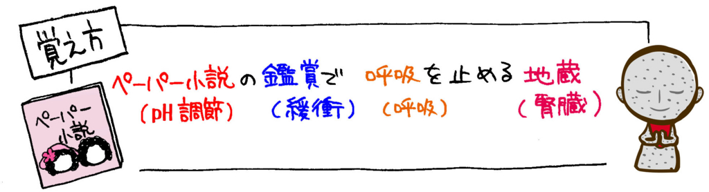 体液のpH調節（酸・塩基平衡）の方法覚え方イラスト